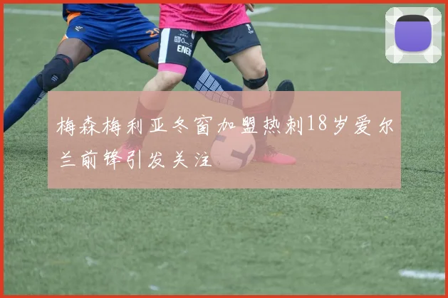 梅森梅利亚冬窗加盟热刺18岁爱尔兰前锋引发关注