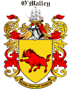 PEDRO family crest